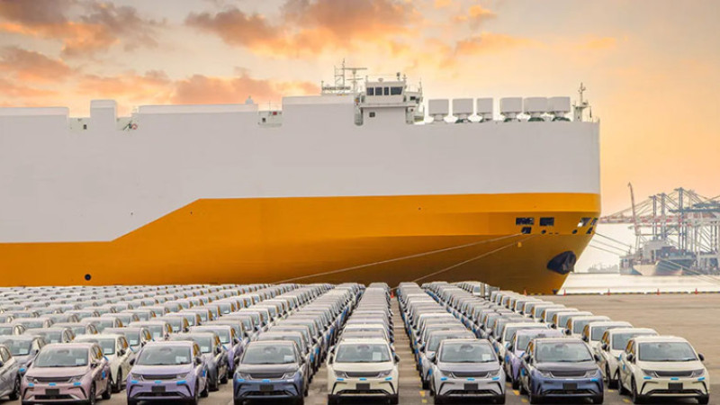 Bears starting to roar in the car carrier market