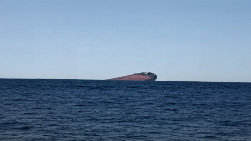 The cargo ship struck by Russia a week ago has sunk