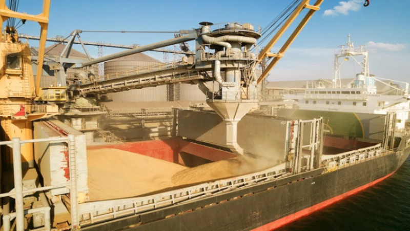 A Maritime Corridor Similar to the Grain Corridor Should Be Opened