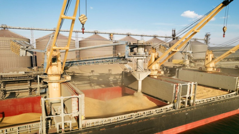A New Grain Corridor Has Become Urgent